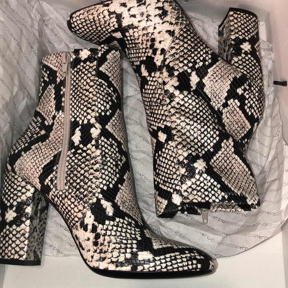 Aldo Ankle Boots